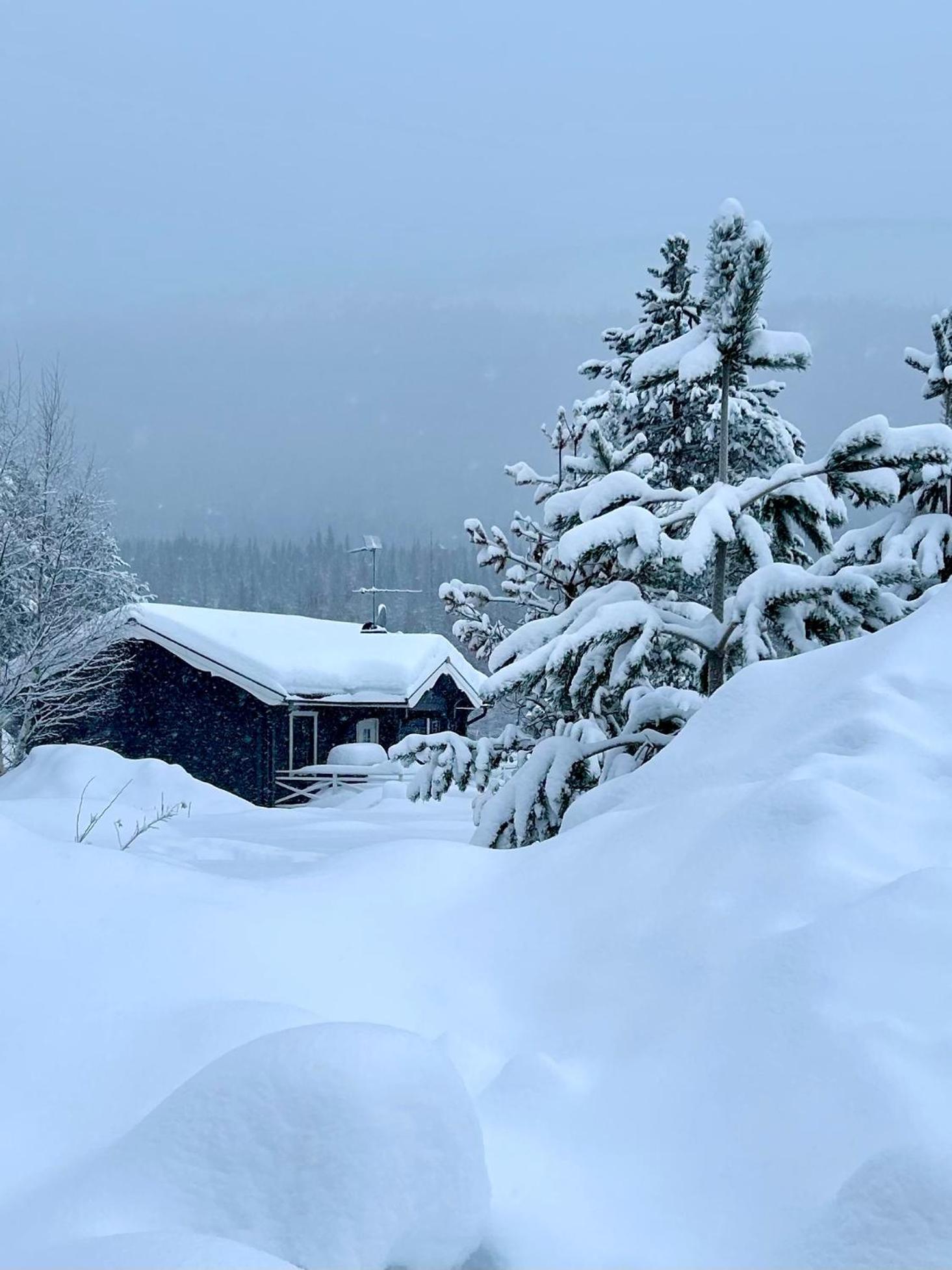 Nymon Mountain Lodge Stoten Luaran gambar